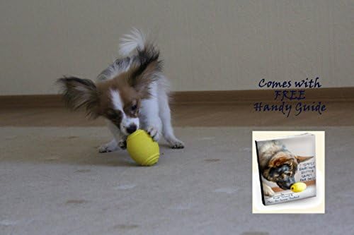 Топка за ръгби PlayfulSpirit Tricky Лечение на: Опаковка лакомство за кучета - Страхотно лекарство за лечение на тревожност и скука, забавна играчка за подбор и базова играчк