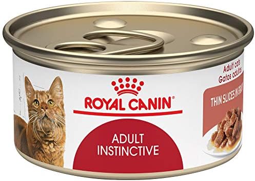 Суха храна за котки Royal Canin Digestive Care, 6-фунтовый пакет & Feline Health Nutrition Adult Instinctive Тънки Парчета в Сос Консервирана Храна за котки, 3 грама (опаковка от 24 броя)