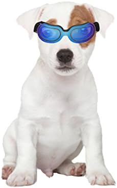 Moveski 18G-02 Ветроупорен Очила за домашни любимци с защита от Uv, Фарове за Слънчеви Очила за кучета от Малки, Средни Котки - Син