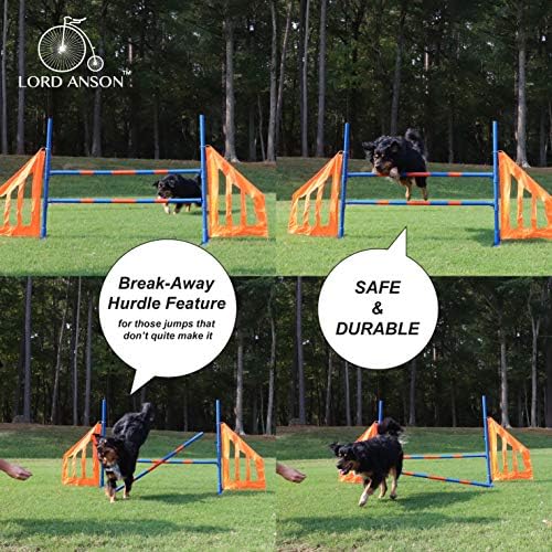 Скок на Подвижност за кучета Lord Anson - оборудване за Подвижност за кучета - Регулируема скок на Подвижност за състезания - Препятствие