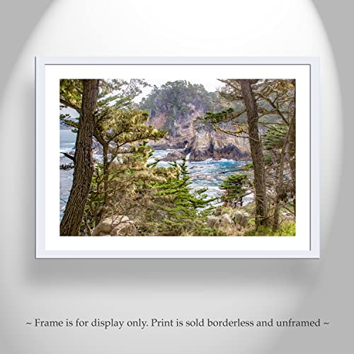 Снимка на Point Lobos с Кипариси Монтерейскими