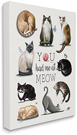 Stupell Industries You Had Me At Meow Котка за Домашен любимец Платно на Стенно изкуство, Дизайн Елизабет Тиндалл